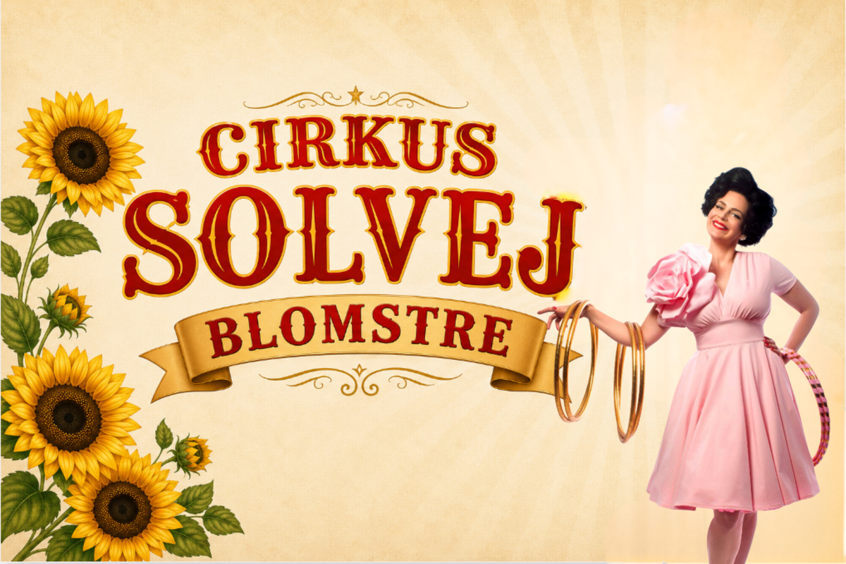 Cirkus Solvej - teacer