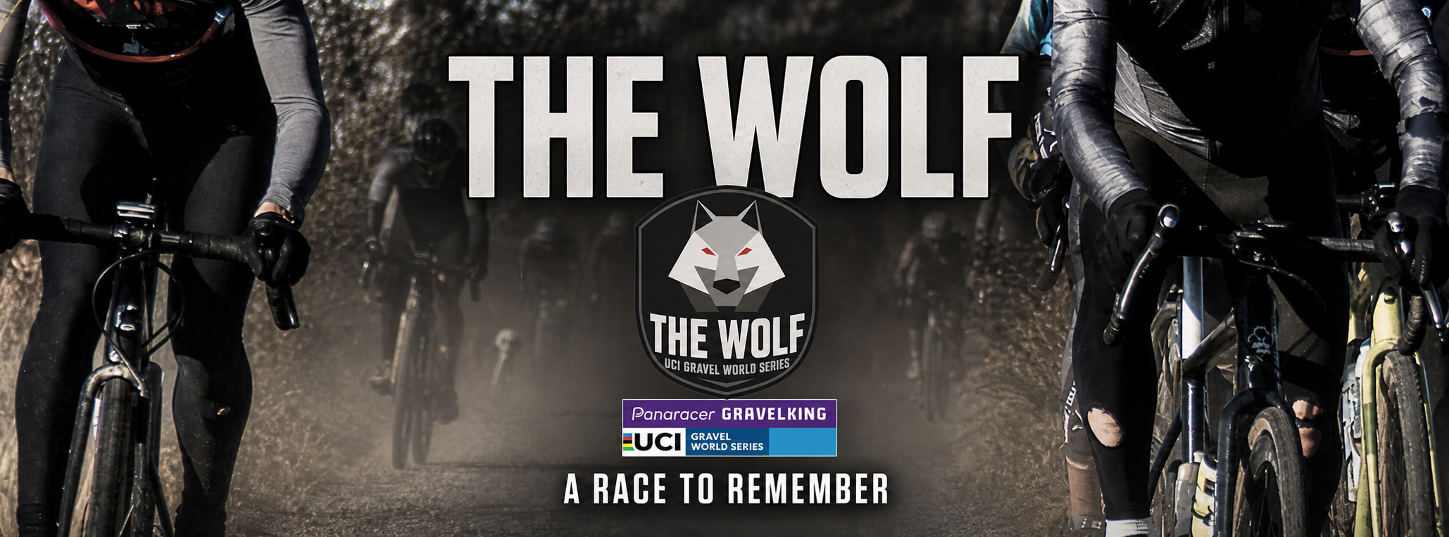 The Wolf - teacer